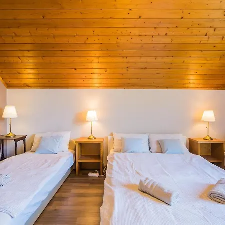 Regoczy Vendeghaz Zamárdi