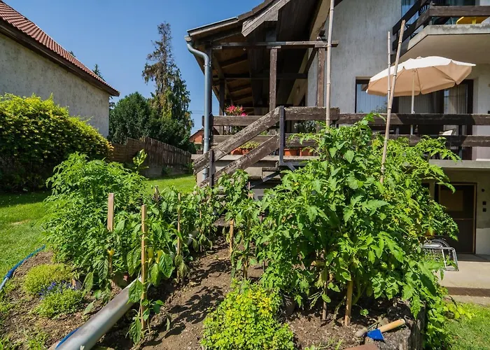 Casa de hóspedes Regőczy